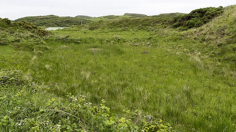 Die Sumpflandschaft im Osten von Rathlin Island.